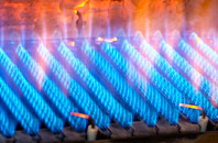 Llys Y Fran gas fired boilers